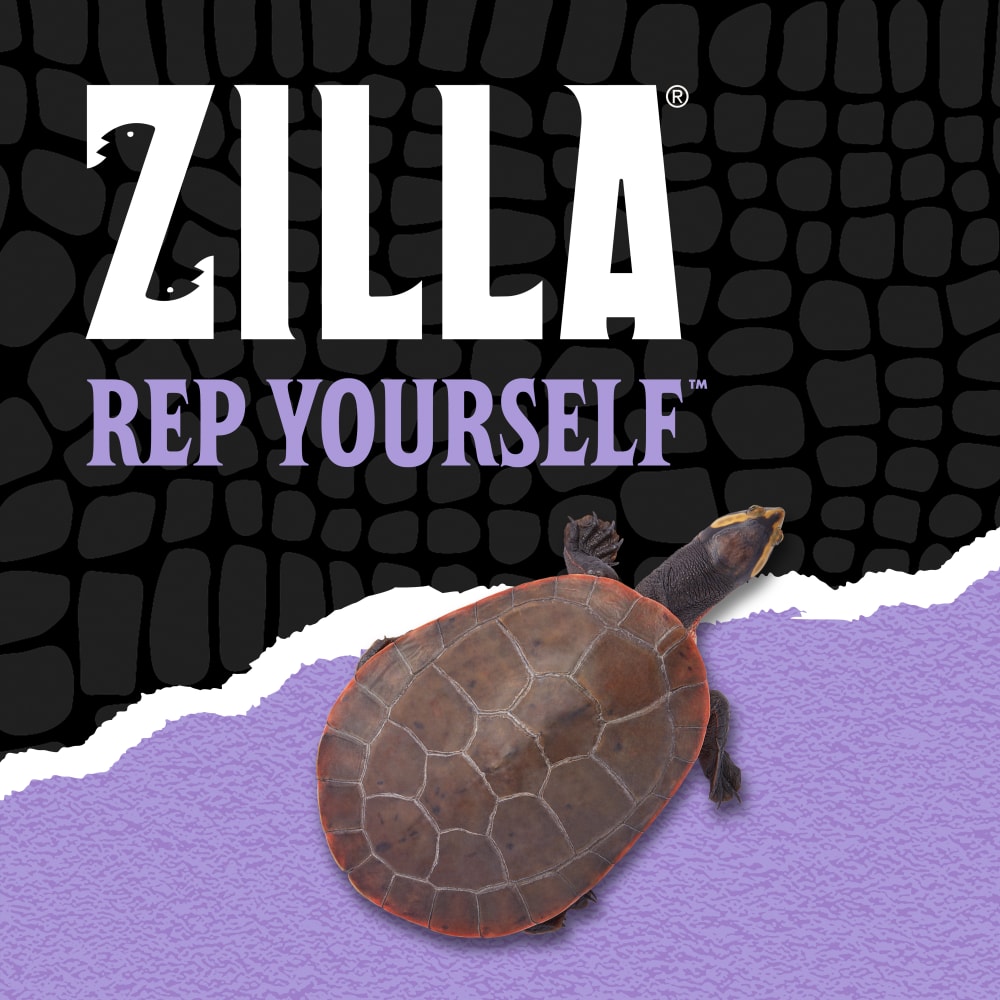 zilla-lifestyle20-brandingo
