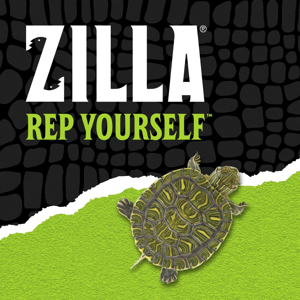 zilla-lifestyle20-brandingac