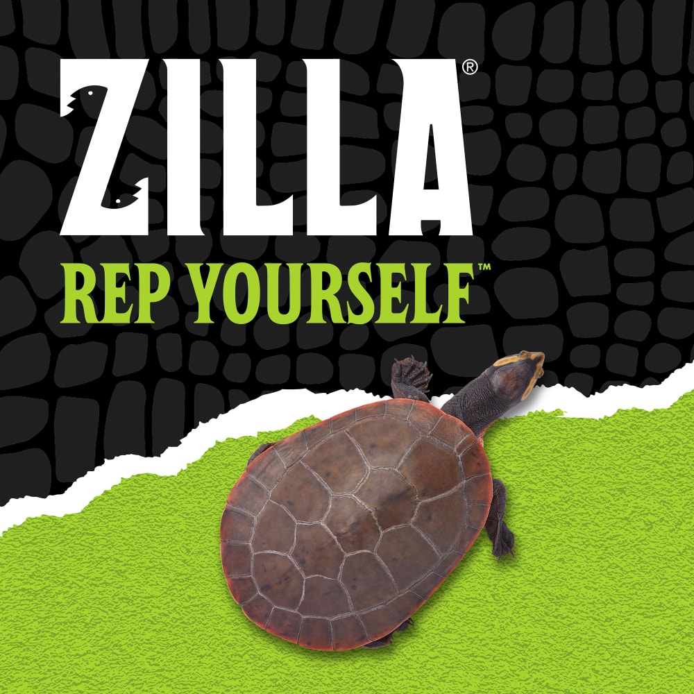Zilla Rep Yourself with a small turtle over black scale background ripped halfway into lime green