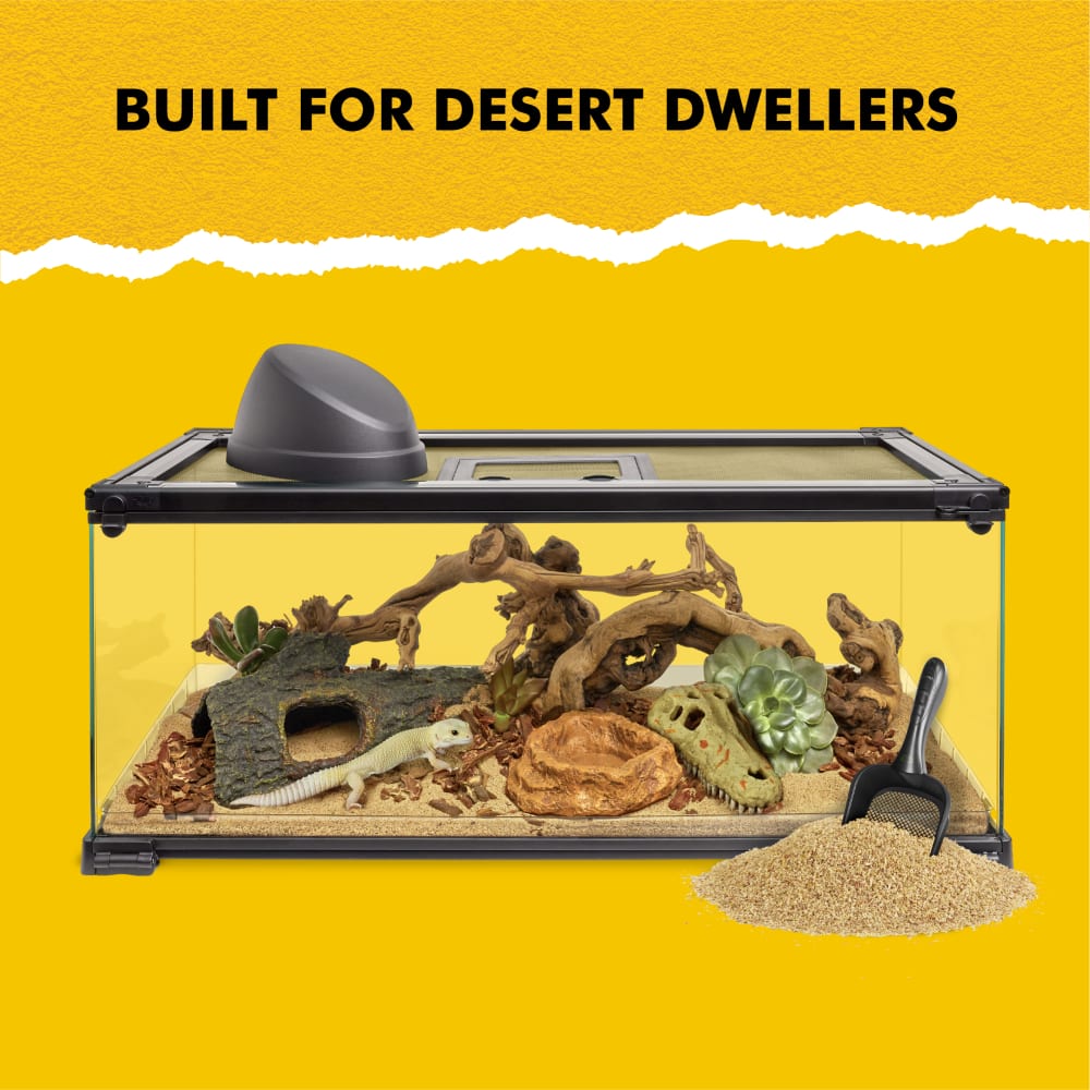Zilla featuring a bearded dragon, decorated terrarium, and Desert Bedding.