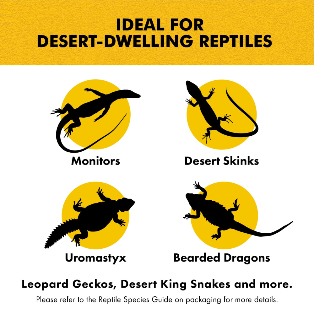 Educational graphic showing Monitors, Desert Skinks, Uromastyx, and Bearded Dragons.
