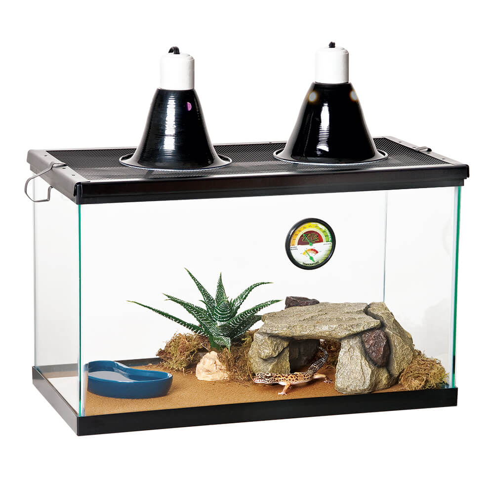 Terrarium Liner in use in Habitat