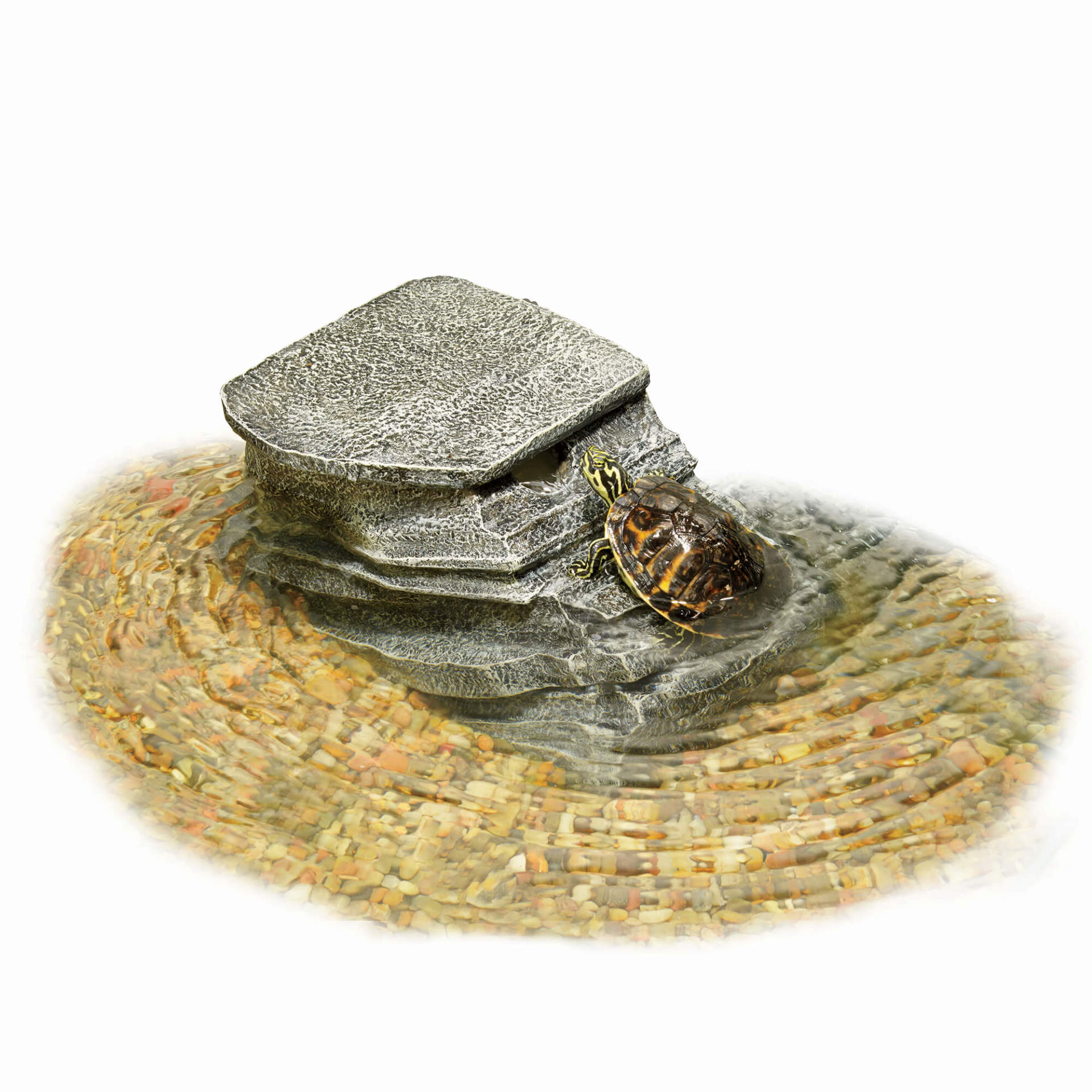Zilla Basking Platform Filter in tank with turtle