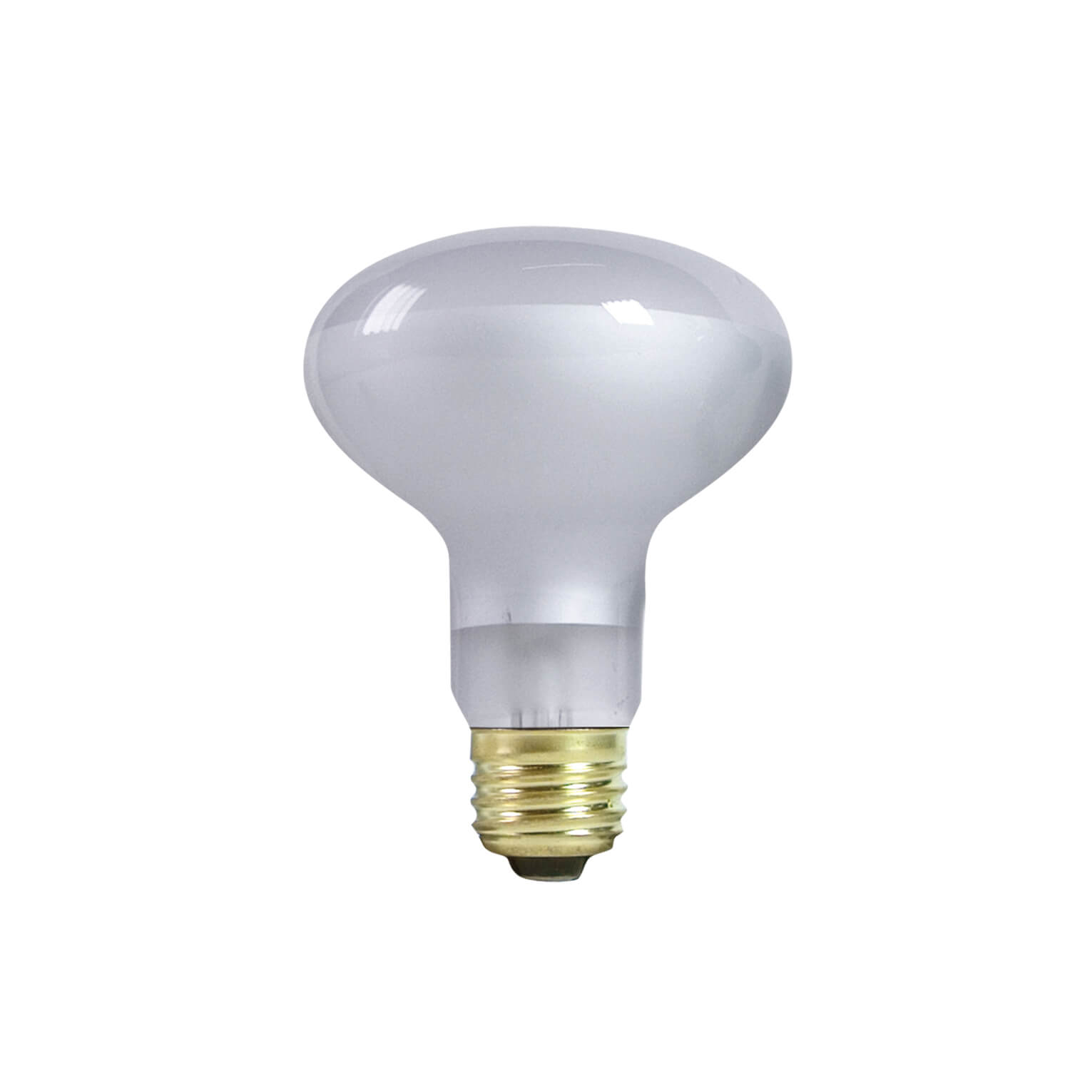Zilla Day White Incandscent Spot Light 50W