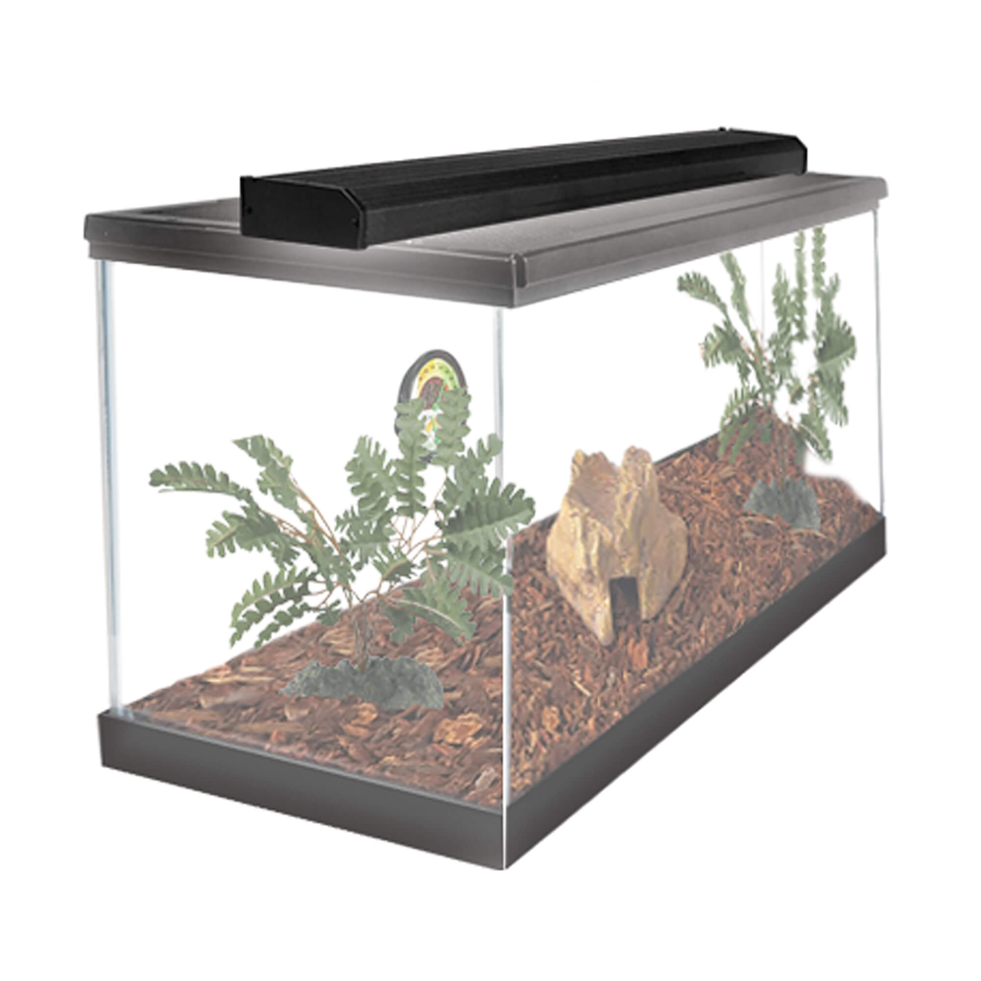 Zilla slimline desert fixture cheap