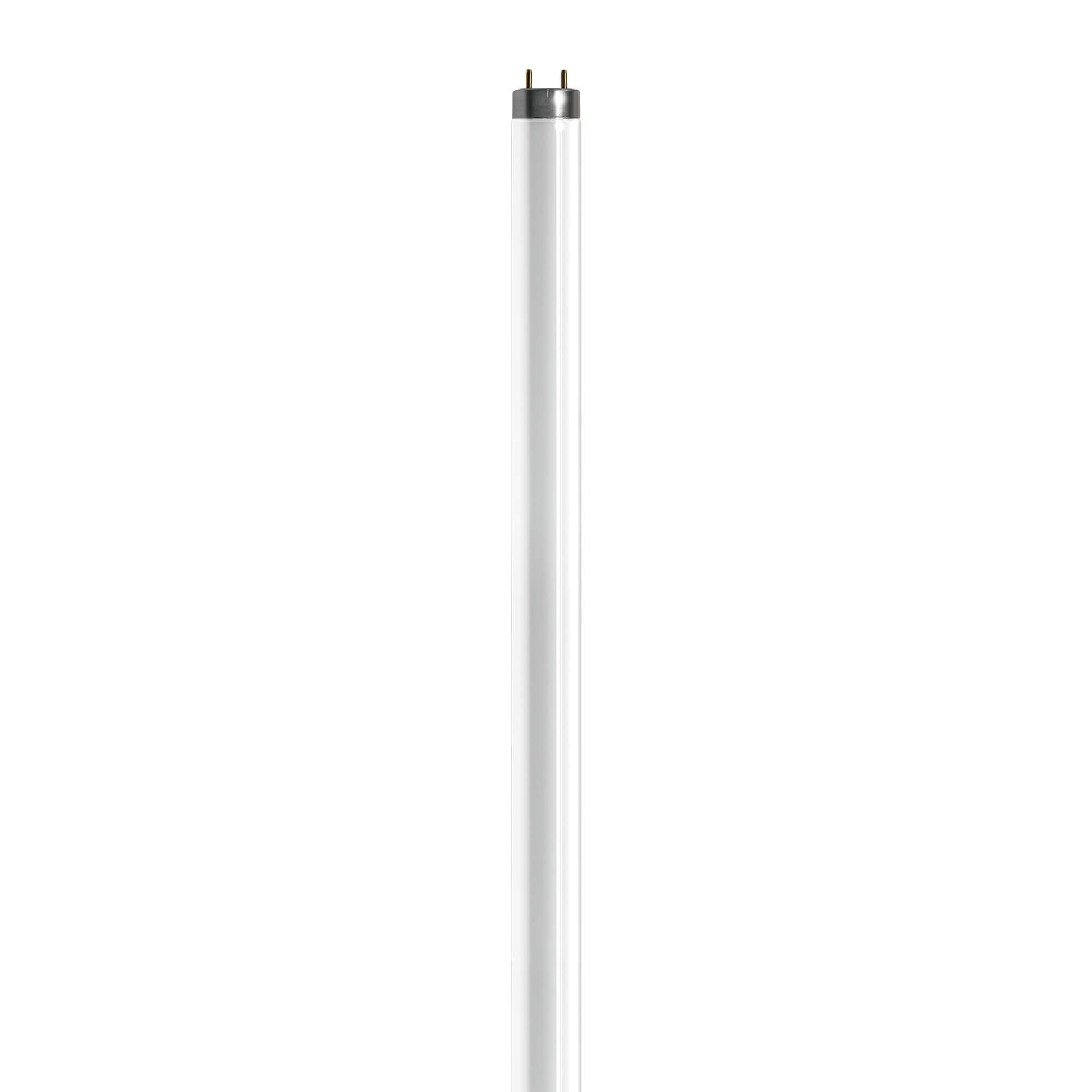 T8 Fluorescent Bulbs Lighting Heating Zilla