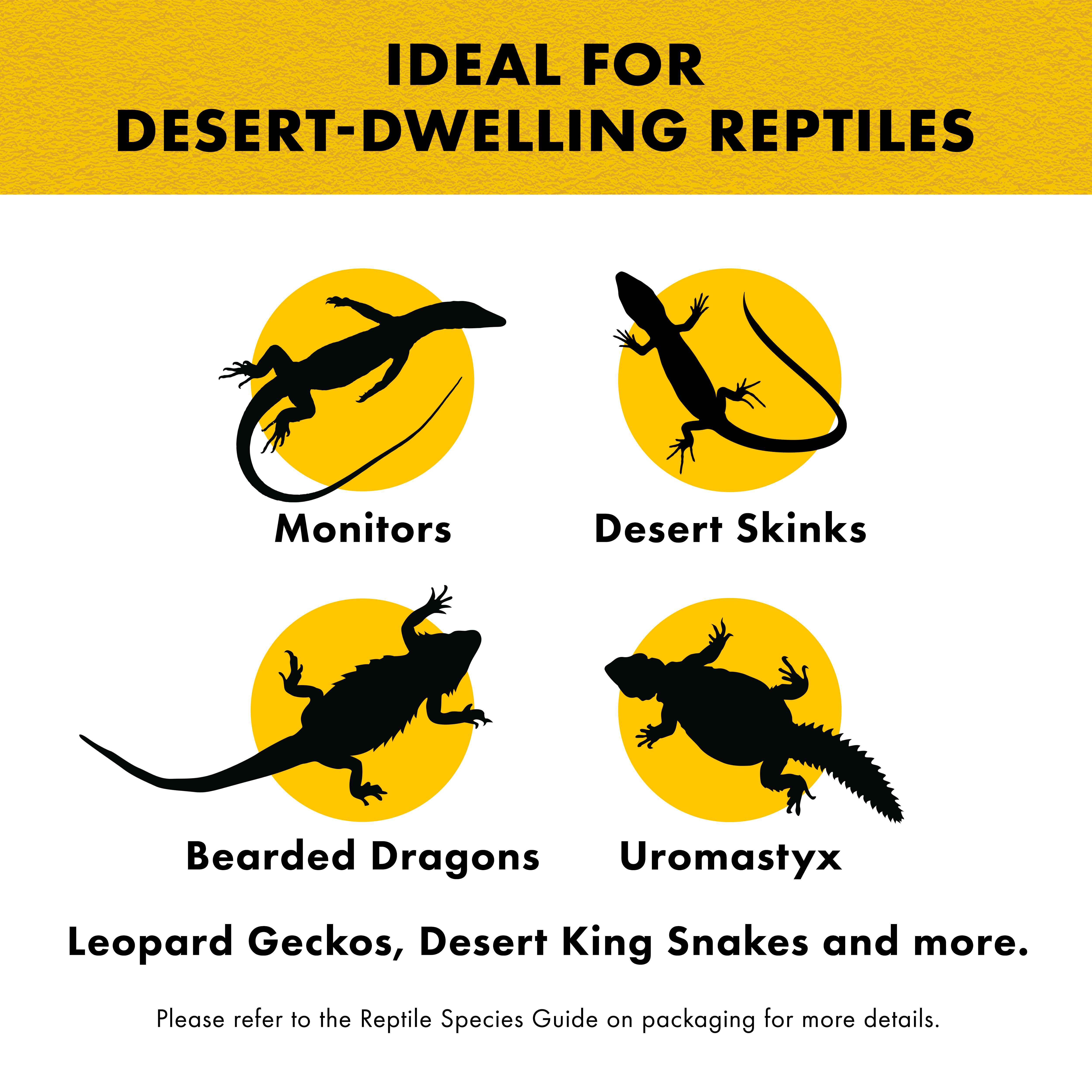 ZillaDesertBlend04