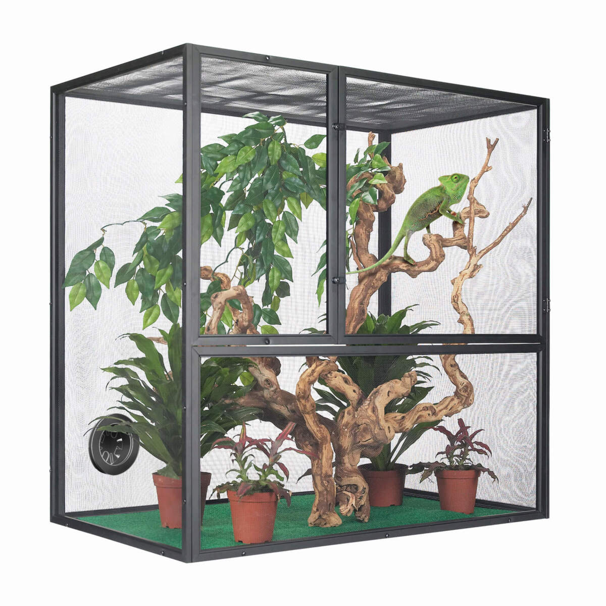 Zilla Screen habitat in use Zilla Reptile Fresh Air Screen Habitat Setup
