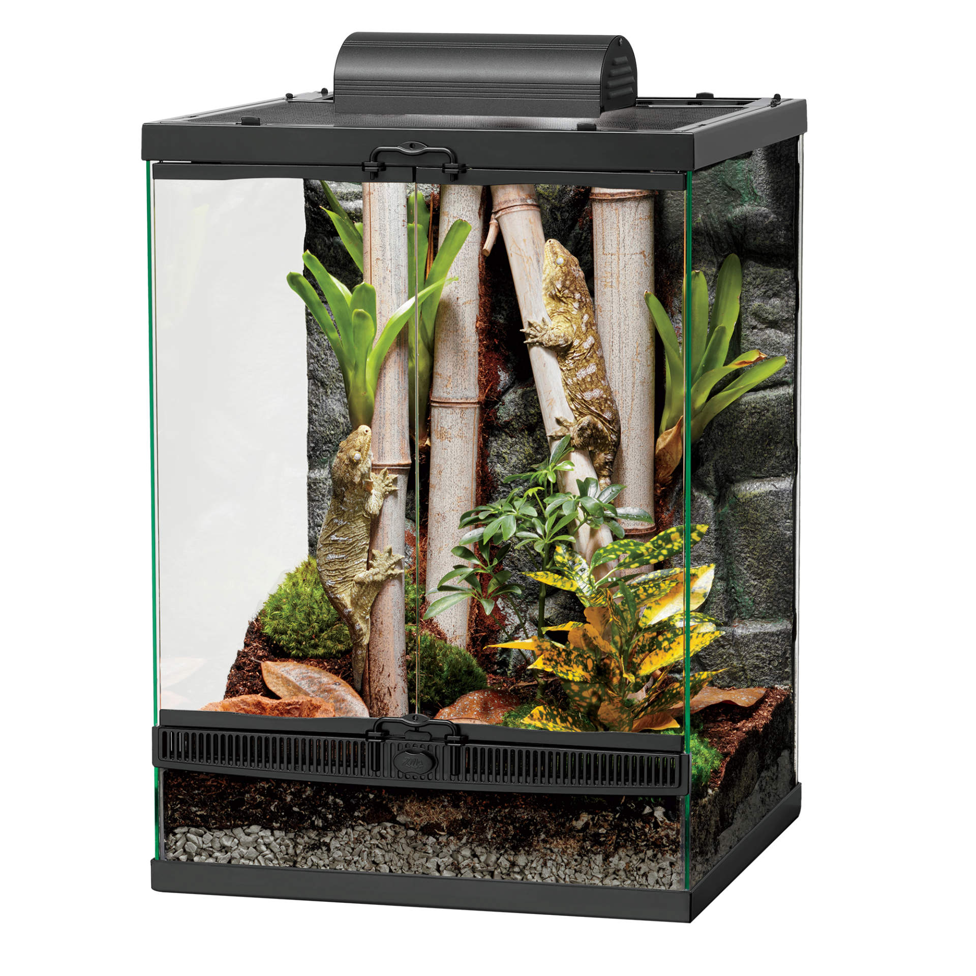 Front Opening Terrariums Terrarium Zilla