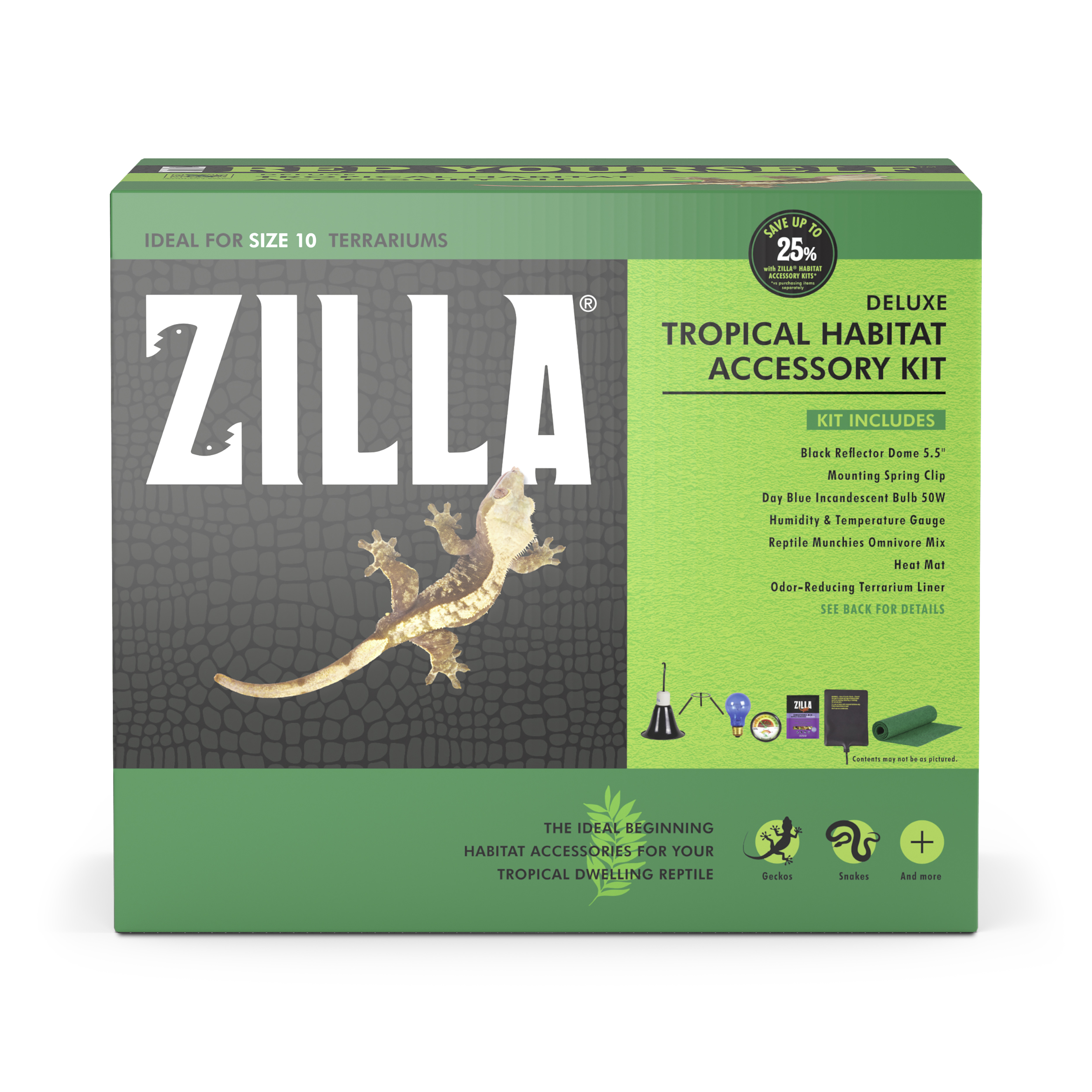 Lizard habitat kit sale