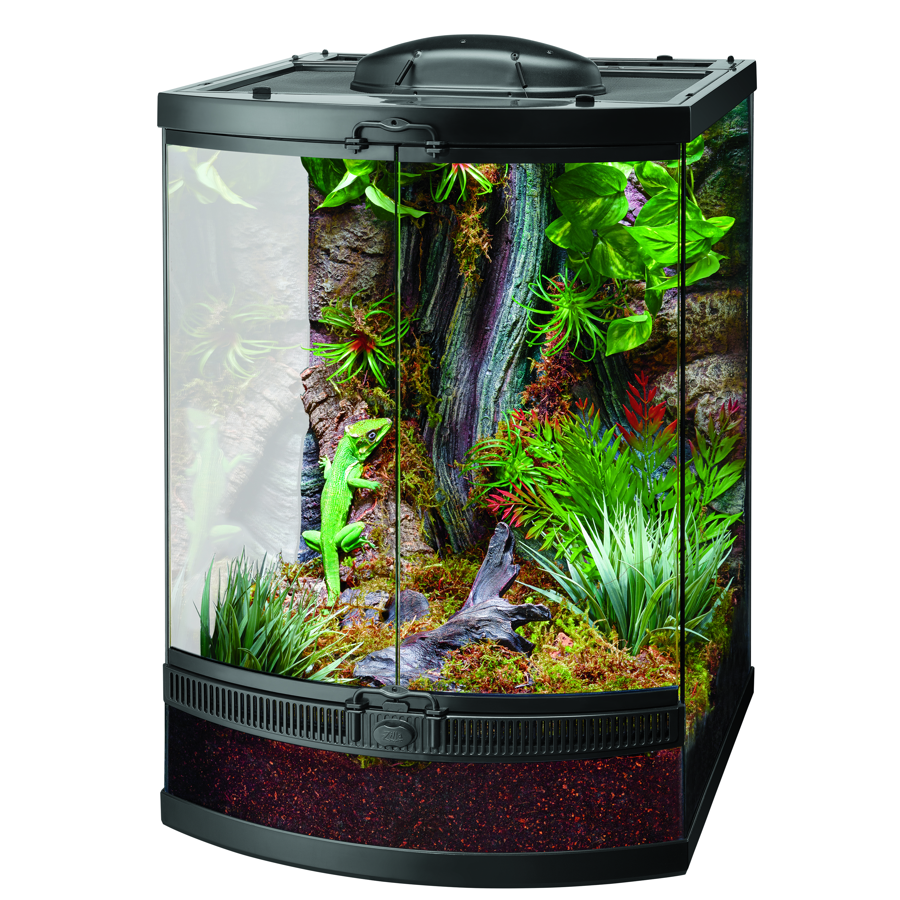 Front Opening Terrariums Terrarium Zilla